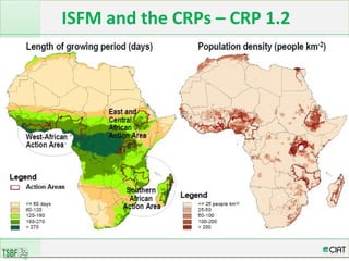 Integrated Soil Fertility Management