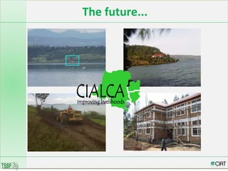 Integrated Soil Fertility Management