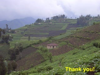 Integrated Soil Fertility Management