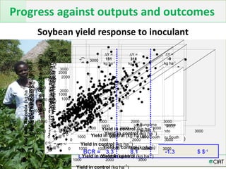 Integrated Soil Fertility Management