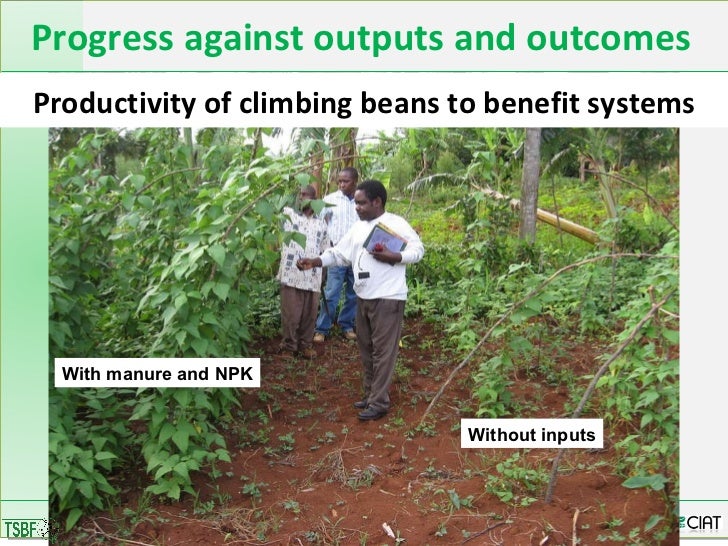 Integrated Soil Fertility Management