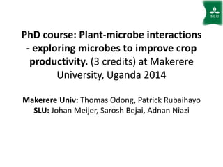 PhD course: Plant-microbe interactions
- exploring microbes to improve crop
productivity. (3 credits) at Makerere
University, Uganda 2014
Makerere Univ: Thomas Odong, Patrick Rubaihayo
SLU: Johan Meijer, Sarosh Bejai, Adnan Niazi

 