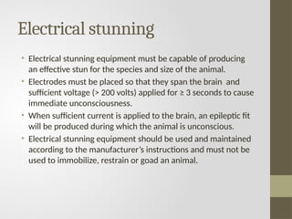 Electrical stunning
• Electrical stunning equipment must be capable of producing
an effective stun for the species and size of the animal.
• Electrodes must be placed so that they span the brain and
sufficient voltage (> 200 volts) applied for ≥ 3 seconds to cause
immediate unconsciousness.
• When sufficient current is applied to the brain, an epileptic fit
will be produced during which the animal is unconscious.
• Electrical stunning equipment should be used and maintained
according to the manufacturer’s instructions and must not be
used to immobilize, restrain or goad an animal.
 