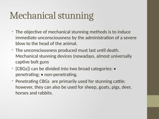 Mechanical stunning
• The objective of mechanical stunning methods is to induce
immediate unconsciousness by the administration of a severe
blow to the head of the animal.
• The unconsciousness produced must last until death.
Mechanical stunning devices (nowadays, almost universally
captive bolt guns
• [CBGs]) can be divided into two broad categories: •
penetrating; • non-penetrating.
• Penetrating CBGs are primarily used for stunning cattle;
however, they can also be used for sheep, goats, pigs, deer,
horses and rabbits.
 