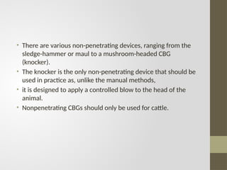 • There are various non-penetrating devices, ranging from the
sledge-hammer or maul to a mushroom-headed CBG
(knocker).
• The knocker is the only non-penetrating device that should be
used in practice as, unlike the manual methods,
• it is designed to apply a controlled blow to the head of the
animal.
• Nonpenetrating CBGs should only be used for cattle.
 