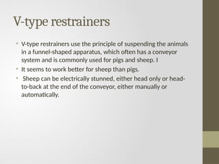 V-type restrainers
• V-type restrainers use the principle of suspending the animals
in a funnel-shaped apparatus, which often has a conveyor
system and is commonly used for pigs and sheep. I
• It seems to work better for sheep than pigs.
• Sheep can be electrically stunned, either head only or head-
to-back at the end of the conveyor, either manually or
automatically.
 