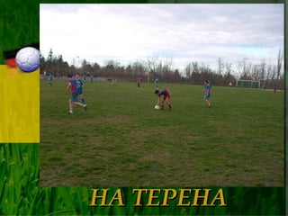 НА ТЕРЕНА 