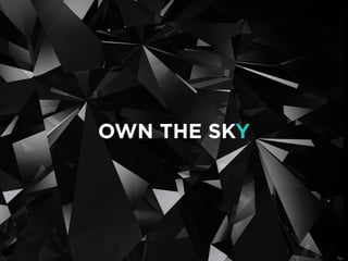 OWN THE SKY
 