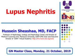 Lupus Nephritis
Hussein Sheashaa, MD, FACP
Professor of Nephrology, Urology and Nephrology Center and Director of
Medical E-Learning Unit, Mansoura University, ESNT-CME Chair and Executive
Director of ESNT- Virtual Academy: http://lms.mans.edu.eg/esnt/
GN Master Class, Monday, 21 October, 2019
 
