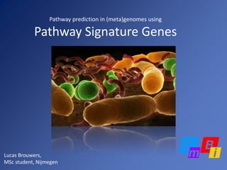 Pathway prediction in (meta)genomes usingPathway Signature Genes Lucas Brouwers, MSc student, Nijmegen 