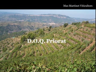 Mas Martinet Viticultors D.O.Q.   Priorat 