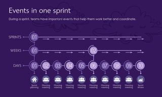 Events in one sprint
During a sprint, teams have important events that help them work better and coordinate.
Sprint
planning
Morning
meeting
Morning
meeting
Morning
meeting
Morning
meeting
Morning
meeting
Morning
meeting
Morning
meeting
Morning
meeting
Sprint
review
SPRINTS
WEEKS
DAYS
 