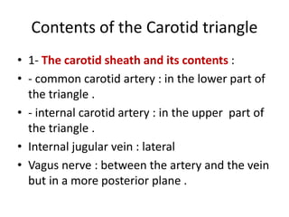 Contents of the Carotid triangle
• 1- The carotid sheath and its contents :
• - common carotid artery : in the lower part of
the triangle .
• - internal carotid artery : in the upper part of
the triangle .
• Internal jugular vein : lateral
• Vagus nerve : between the artery and the vein
but in a more posterior plane .
 