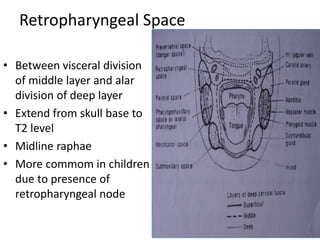 Retropharyngeal Space
• Between visceral division
of middle layer and alar
division of deep layer
• Extend from skull base to
T2 level
• Midline raphae
• More commom in children
due to presence of
retropharyngeal node
 