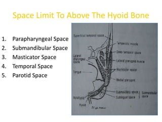 Space Limit To Above The Hyoid Bone
1. Parapharyngeal Space
2. Submandibular Space
3. Masticator Space
4. Temporal Space
5. Parotid Space
 