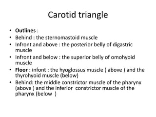 Carotid triangle
• Outlines :
• Behind : the sternomastoid muscle
• Infront and above : the posterior belly of digastric
muscle
• Infront and below : the superior belly of omohyoid
muscle
• Floor : infont : the hyoglossus muscle ( above ) and the
thyrohyoid muscle (below)
• Behind: the middle constrictor muscle of the pharynx
(above ) and the inferior constrictor muscle of the
pharynx (below )
 