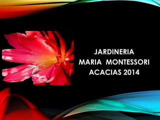 JARDINERIA 
MARIA MONTESSORI 
ACACIAS 2014 
 