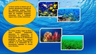 La fauna marina se destaca por el
número, abundancia y tamaño de
los siguientes grupos: Peces,
Moluscos, Artrópodos (diferentes
tipos de cangrejos, langostas,
camarones, etc.) y Cnidarios
(aguas vivas, corales, anémonas)..
Por tanto, la flora, según el clima y
otros factores ambientales,
determina la vegetación. La
geobotánica o fitogeografía se
ocupa del estudio de la distribución
geográfica de las especies
vegetales; el estudio fitogeográfico
referido a la sistemática de las
formaciones vegetales se conoce
como florística.
 