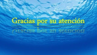 Los Océanos Terrestres