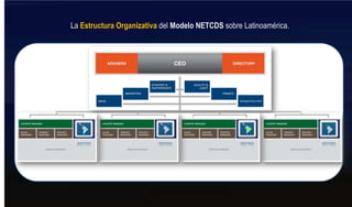 La Estructura Organizativa del Modelo NETCDS sobre Latinoamérica.