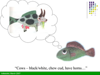 “ Cows – black/white, chew cud, have horns…” 