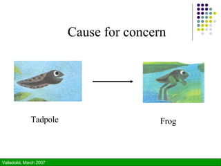 Tadpole Frog Cause for concern 