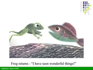 Frog returns : “I have seen wonderful things!” 