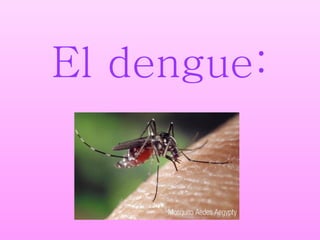 El dengue: 