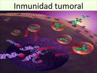 Inmunidad tumoral 