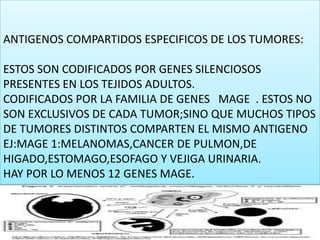 ANTIGENOS COMPARTIDOS ESPECIFICOS DE LOS TUMORES:ESTOS SON CODIFICADOS POR GENES SILENCIOSOS PRESENTES EN LOS TEJIDOS ADULTOS.CODIFICADOS POR LA FAMILIA DE GENES   MAGE  . ESTOS NO SON EXCLUSIVOS DE CADA TUMOR;SINO QUE MUCHOS TIPOS DE TUMORES DISTINTOS COMPARTEN EL MISMO ANTIGENOEJ:MAGE 1:MELANOMAS,CANCER DE PULMON,DE HIGADO,ESTOMAGO,ESOFAGO Y VEJIGA URINARIA.HAY POR LO MENOS 12 GENES MAGE.