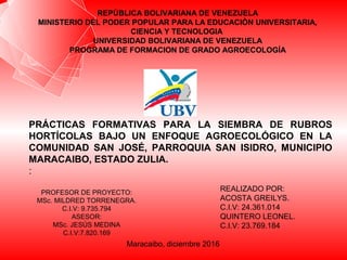 REPÙBLICA BOLIVARIANA DE VENEZUELA
MINISTERIO DEL PODER POPULAR PARA LA EDUCACIÒN UNIVERSITARIA,
CIENCIA Y TECNOLOGIA
UNIVERSIDAD BOLIVARIANA DE VENEZUELA
PROGRAMA DE FORMACION DE GRADO AGROECOLOGÍA
REALIZADO POR:
ACOSTA GREILYS.
C.I.V: 24.361.014
QUINTERO LEONEL.
C.I.V: 23.769.184
PROFESOR DE PROYECTO:
MSc. MILDRED TORRENEGRA.
C.I.V: 9.735.794
ASESOR:
MSc. JESÚS MEDINA
C.I.V:7.820.169
PRÁCTICAS FORMATIVAS PARA LA SIEMBRA DE RUBROS
HORTÍCOLAS BAJO UN ENFOQUE AGROECOLÓGICO EN LA
COMUNIDAD SAN JOSÉ, PARROQUIA SAN ISIDRO, MUNICIPIO
MARACAIBO, ESTADO ZULIA.
:
Maracaibo, diciembre 2016
 