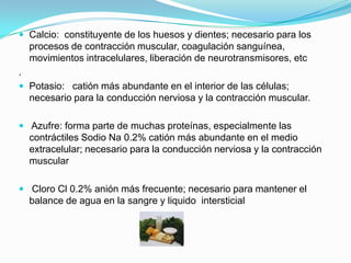  Calcio: constituyente de los huesos y dientes; necesario para los
procesos de contracción muscular, coagulación sanguínea,
movimientos intracelulares, liberación de neurotransmisores, etc
.
 Potasio: catión más abundante en el interior de las células;
necesario para la conducción nerviosa y la contracción muscular.
 Azufre: forma parte de muchas proteínas, especialmente las
contráctiles Sodio Na 0.2% catión más abundante en el medio
extracelular; necesario para la conducción nerviosa y la contracción
muscular
 Cloro Cl 0.2% anión más frecuente; necesario para mantener el
balance de agua en la sangre y liquido intersticial
 