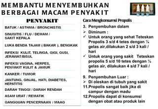 Presntasi mni/propolis | PPT