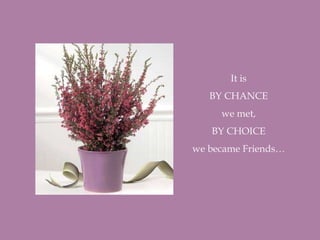 It is
BY CHANCE
we met,
BY CHOICE
we became Friends…
 