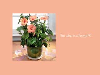 But what is a Friend???
 