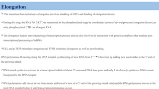 Elongation
 The transition from initiation to elongation involves shedding of GTFs and binding of elongation factors.
During this step, the RNA Pol II CTD is maintained in the phosphorylated stage by coordinated action of several proteins (elongation factors),as
only phosphorylated CTD can elongate RNA.
The elongation factors prevent pausing of transcription process and are also involved in interaction with protein complexes that mediate post
transcriptional processing of mRNA.
ELL and p-TEFb stimulate elongation and TFIIS stimulates elongation as well as proofreading.
RNA polymerase II moving along the DNA templet, synthesizing of new RNA from 5’ 3’direction by adding new nucleotides to the 3’ end of
the growing strand.
RNA strand synthesizes occurs in a transcription bubble of about 25 unwound DNA base pairs and only 8 nt of newly synthesize RNA remain
basepaired to the DNA templet.
RNA polymerase add one nt at one time means addition of a new nt at 3’ end of the growing strand catalyzed the RNA polymerase moves to the
next DNA templet below it until transcription termination occurs.
 