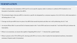 TERMINATION
• Unlike in prokaryotes, the termination of RNA pol II is not at specific sequence rather it continues to synthesize RNA hundreds or even
thousands of nucleotides to produce the mRNA .
• The termination begins when pre-mRNA is cleaved at a specific site designated by a consensus sequence of nt (AAUAAA), while transcription is
still taking place at 3’ end.
• Cleavage cuts the pre-mRNA into two pieces: the mRNA that encode the protein and other one is still synthesizing, has its 5’ end.
• An enzyme RNase (Rat1 in yeast and Xrn2 in humans) attach to the 5’ end of RNA and moves towards the 3’ end where RNA pol continues the
transcription.
• RNase is an exonuclease, an enzyme that capable of degrading RNA in the 5’– 3’ direction like a guided torpedo.
• RNase is present on the CTD of RNA pol II, chewing up the RNA as it moves, when it reaches the transcriptional machinery, transcription
terminates.(Torpedo model of termination)
 