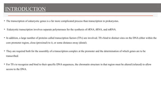 INTRODUCTION
• The transcription of eukaryotic genes is a far more complicated process than transcription in prokaryotes.
• Eukaryotic transcription involves separate polymerases for the synthesis of rRNA, tRNA, and mRNA.
• In addition, a large number of proteins called transcription factors (TFs) are involved. TFs bind to distinct sites on the DNA either within the
core promoter region, close (proximal) to it, or some distance away (distal).
• They are required both for the assembly of a transcription complex at the promoter and the determination of which genes are to be
transcribed.
• For TFs to recognize and bind to their specific DNA sequences, the chromatin structure in that region must be altered (relaxed) to allow
access to the DNA.
 