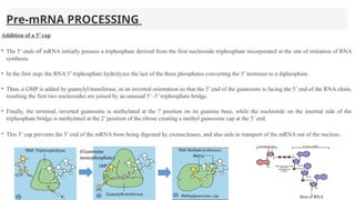 Pre-mRNA PROCESSING
Addition of a 5’ cap
• The 5’ ends of mRNA initially possess a triphosphate derived from the first nucleoside triphosphate incorporated at the site of initiation of RNA
synthesis.
• In the first step, the RNA 5’ triphosphate hydrolyzes the last of the three phosphates converting the 5’ terminus to a diphosphate .
• Then, a GMP is added by guanylyl transferase, in an inverted orientation so that the 5’ end of the guanosine is facing the 5’ end of the RNA chain,
resulting the first two nucleosides are joined by an unusual 5’–5’ triphosphate bridge.
• Finally, the terminal, inverted guanosine is methylated at the 7 position on its guanine base, while the nucleotide on the internal side of the
triphosphate bridge is methylated at the 2’ position of the ribose creating a methyl guanosine cap at the 5’ end.
• This 5’ cap prevents the 5’ end of the mRNA from being digested by exonucleases, and also aids in transport of the mRNA out of the nucleus.
Rest of RNA
(Guanosine
monophosphate)
 