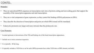 CONTD..
Promoter:
• They are specialized DNA sequences at transcription start sites of protein-coding and non-coding genes that support the
assembly of the transcription apparatus and start transcription.
• They are a vital component of gene expression, as they control the binding of RNA polymerase to DNA.
• They describe the direction of transcription and point out which DNA strand will be translated.
• Eukaryotic promoters are larger and more intricate than the prokaryotic one.
Core Promoter:
• Located upstream or downstream of the TSS and binding site of the basal transcription apparatuses.
• Include one or more consensus sequences.
• It is typically ~40 bp long,
• It typically includes a TATA box or an Inr and a DPE(a promoter have either TATA-box or DPE element, not both).
 
