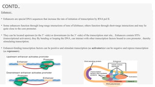 CONTD..
Enhancer:
• Enhancers are special DNA sequences that increase the rate of initiation of transcription by RNA pol II.
• Some enhancers function through long-range interactions of tens of kilobases; others function through short-range interactions and may lie
quite close to the core promoter.
• They can be located upstream (to the 5’ -side) or downstream (to the 3’ -side) of the transcription start site, . Enhancers contain STFs
(transcriptional activators), they By bending or looping the DNA, can interact with other transcription factors bound to core promoter , thereby
stimulating transcription.
• Enhancer-binding transcription factors can be positive and stimulate transcription (as activators)or can be negative and repress transcription
(as repressors).
 