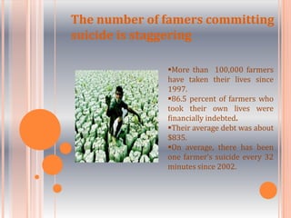 Cotton the dominant crop.