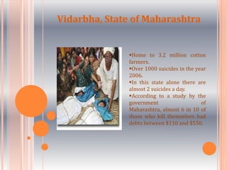 Yield limited by rain, but regular rise in cost of input lowered margin of profit.