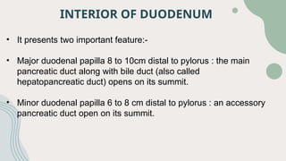 presntation surgery.pptx on the topic duodenum | PPTX