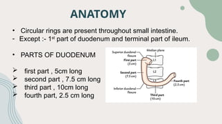 Intestine Rings presntation surgery.pptx on the topic duodenum | PPTX