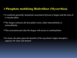 Phosphate mobilizing Biofertilizer (Mycorrhiza)
A symbiotic generally mutualistic association between a fungus and the roots of
a vascular plant.
The fungus colonizes the host plant's roots, either intracellularly or
extracellularly.
This association provides the fungus with access to carbohydrates
In return, the plant gains the benefits of the mycelium's higher absorptive
capacity for water and mineral
 