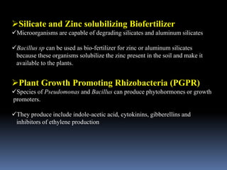 Silicate and Zinc solubilizing Biofertilizer
Microorganisms are capable of degrading silicates and aluminum silicates
Bacillus sp can be used as bio-fertilizer for zinc or aluminum silicates
because these organisms solubilize the zinc present in the soil and make it
available to the plants.
Plant Growth Promoting Rhizobacteria (PGPR)
Species of Pseudomonas and Bacillus can produce phytohormones or growth
promoters.
They produce include indole-acetic acid, cytokinins, gibberellins and
inhibitors of ethylene production
 