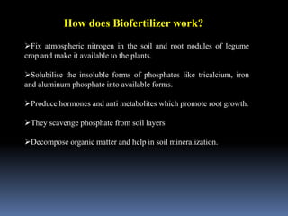 How does Biofertilizer work?
Fix atmospheric nitrogen in the soil and root nodules of legume
crop and make it available to the plants.
Solubilise the insoluble forms of phosphates like tricalcium, iron
and aluminum phosphate into available forms.
Produce hormones and anti metabolites which promote root growth.
They scavenge phosphate from soil layers
Decompose organic matter and help in soil mineralization.
 