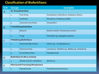 S.N Groups examples
A N2 fixing Biofertilizer
1. Free-living Azotobacter, Clostridium,Anabaena, Nostoc,
Symbiotic Rhizobium, Anabaena azollae
3. Associative Symbiotic Azospirillum
B P Solubilizing Biofertilizer
1. Bacteria Bacillus subtilis, Pseudomonas striata
2. Fungi Penicillium sp, Aspergillus awamori
C P Mobilizing Biofertilizers
1. Arbuscular Mycorrhiza Glomus sp. , Scutellospora sp..
2. Ectomycorrhiza Laccaria sp., Pisolithus sp., Boletus sp., Amanita sp.
3. Ericoid Mycorrhiza Pezizella ericae
D Biofertilizer for Micro nutrients
1. Silicate and Zinc solubilizers Bacillus sp.
E Plant Growth Promoting Rhizobacteria
1. Pseudomonas Pseudomonas fluorescence
Classification of Biofertilizers
 