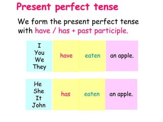 We form the present perfect tense
with have / has + past participle.
Present perfect tense
I
You
We
They
have eaten an apple.
He
She
It
John
has eaten an apple.
 